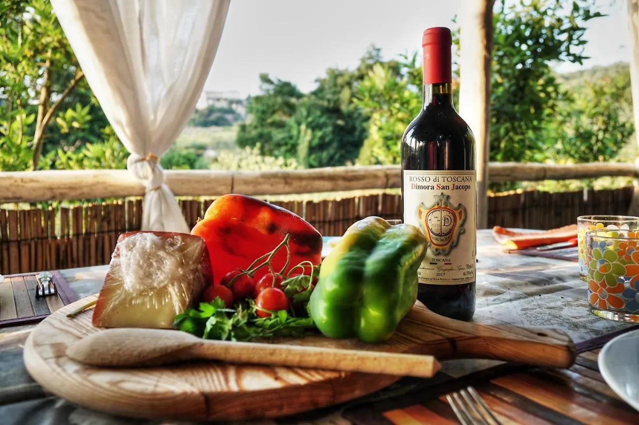 Wonderful Villa In Tuscany With Swimming Pool And Park Near Pisa And Florence Molino del Roglio